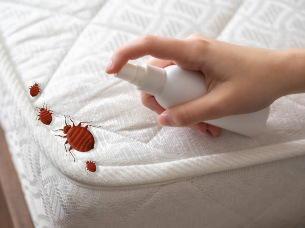 Best Residential Pest Control  in New Philadelphia, OH